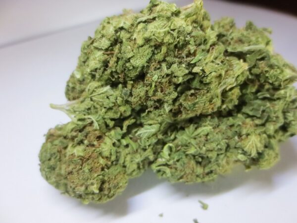 sour disel