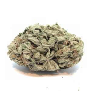Critical Kush Marijuana Strain 25% THC