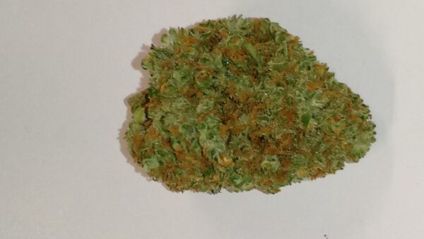 Northern Lights