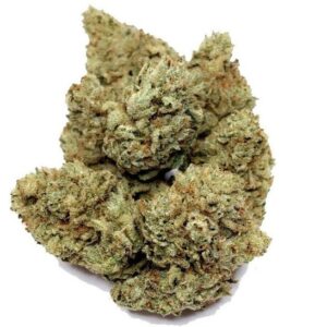 Gorilla Glue Cannabis Strain