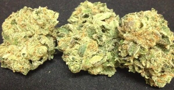 Girl Scout Cookies Marijuana Strain