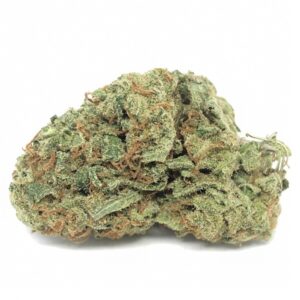Lemon Kush Marijuana Strain